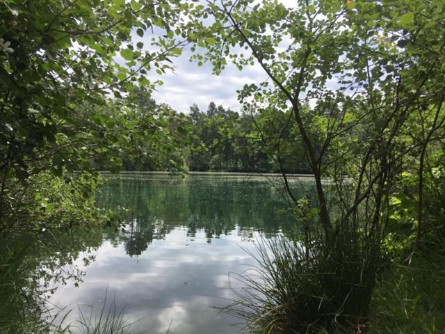 تختخواب و صبحانه Auxiliumwellness Get Back To Serenity