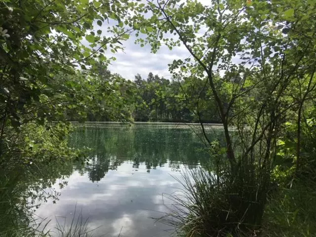 Aamiaismajoitus (B&B) Auxiliumwellness Get Back To Serenity