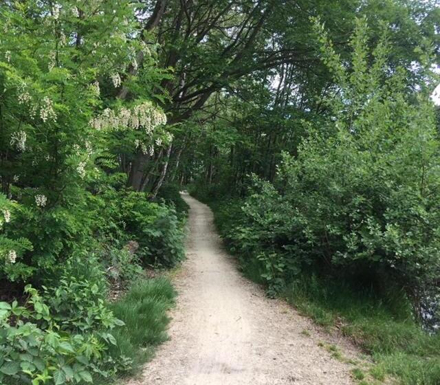 تختخواب و صبحانه Auxiliumwellness Get Back To Serenity