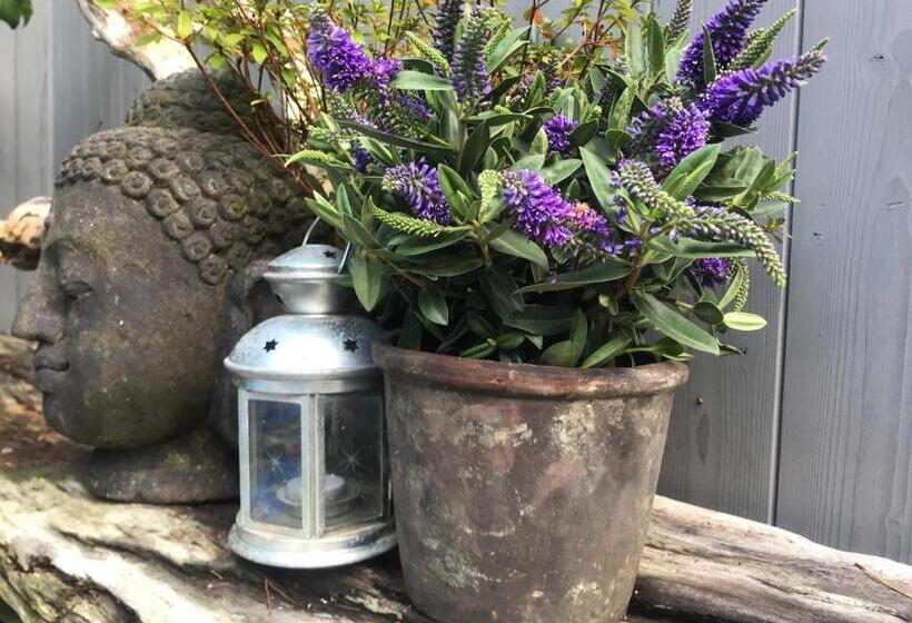 تختخواب و صبحانه Auxiliumwellness Get Back To Serenity