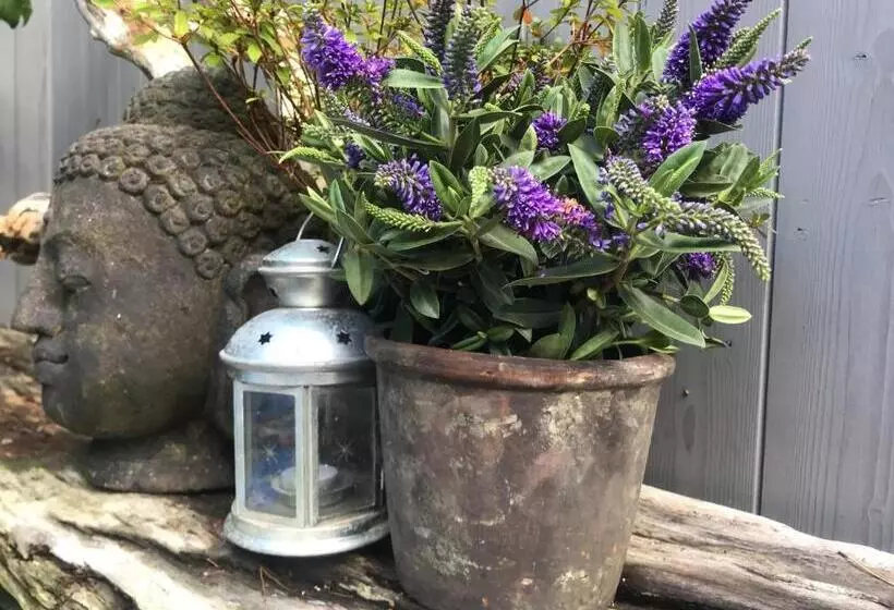 Aamiaismajoitus (B&B) Auxiliumwellness Get Back To Serenity