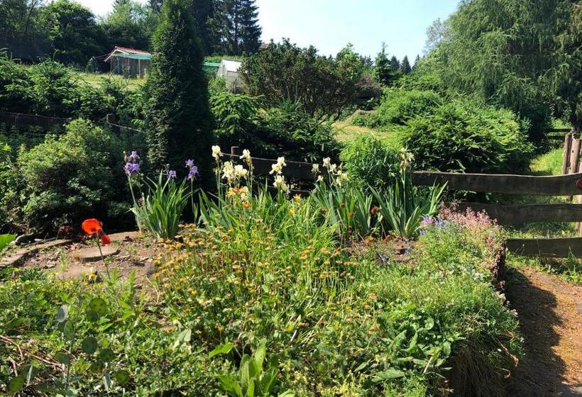 Bed and Breakfast Pension Raststüb'l