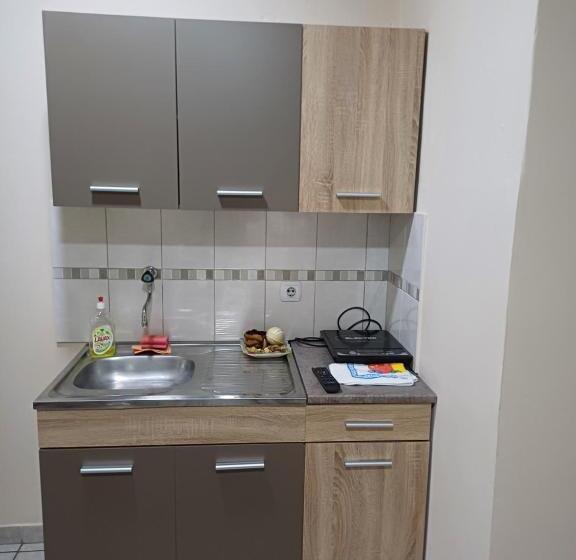 پانسیون Sobe Sanja