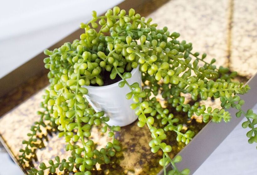 The Guild Downtown Miami