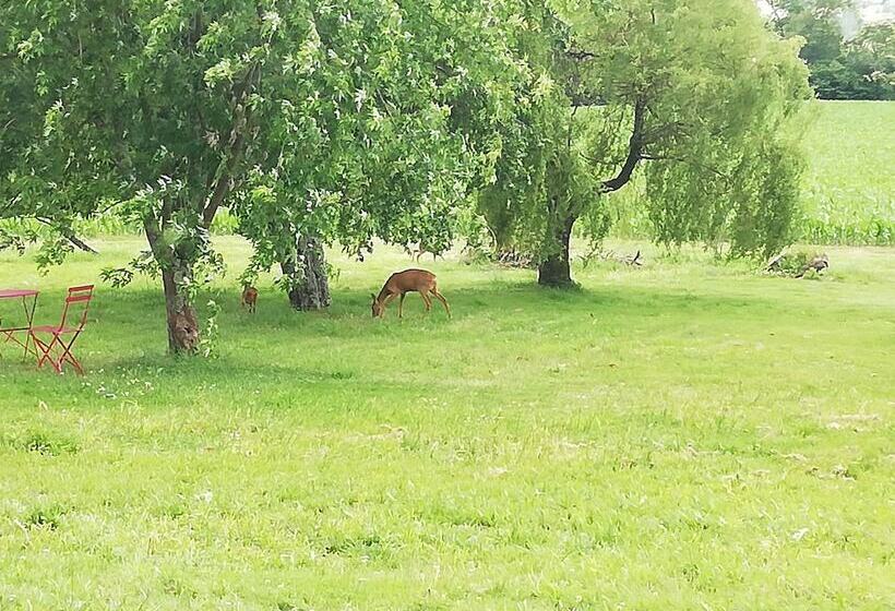 צימר A La Duvetine