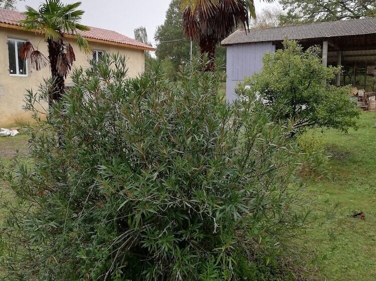 צימר A La Duvetine