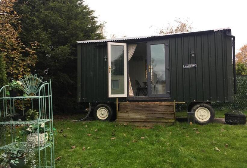 تختخواب و صبحانه York House Durham