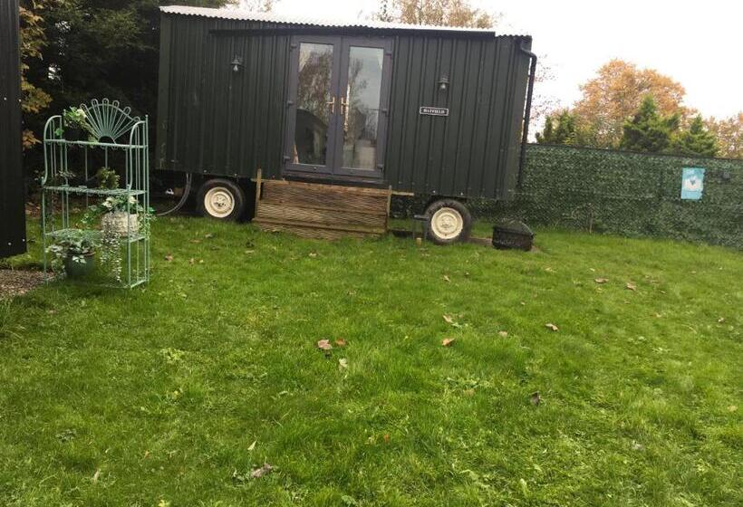 تختخواب و صبحانه York House Durham