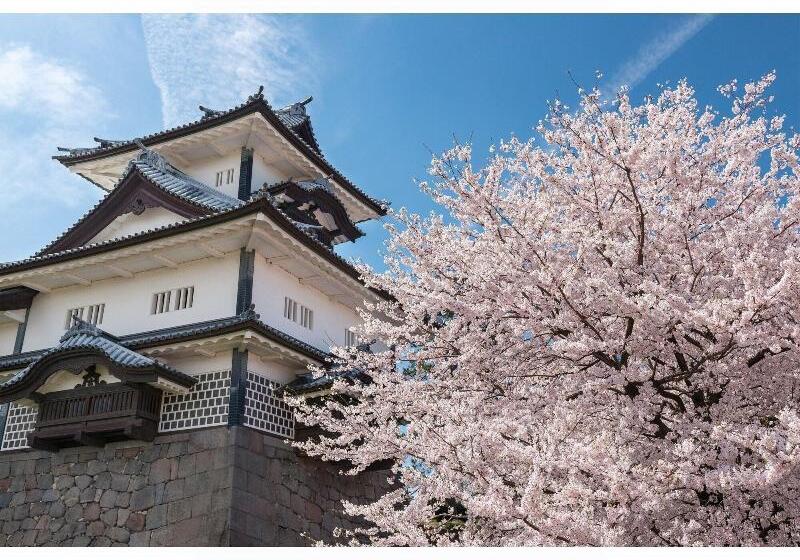 فنادق الكبسولة Torifito Hotel&pod Kanazawa Hyakumangoku Dori