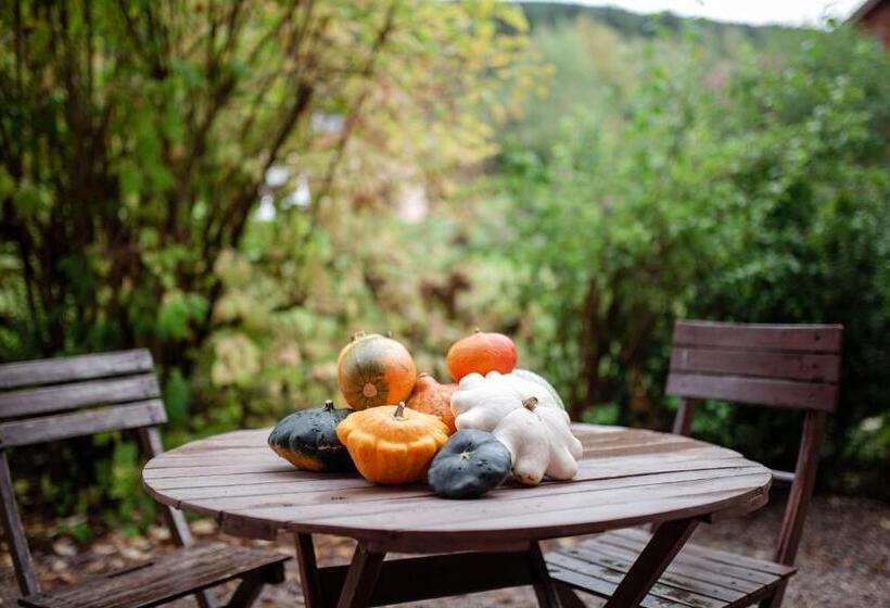 Пансион La Beuratte