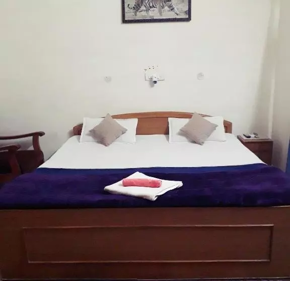 Hotelli Narmada Palace