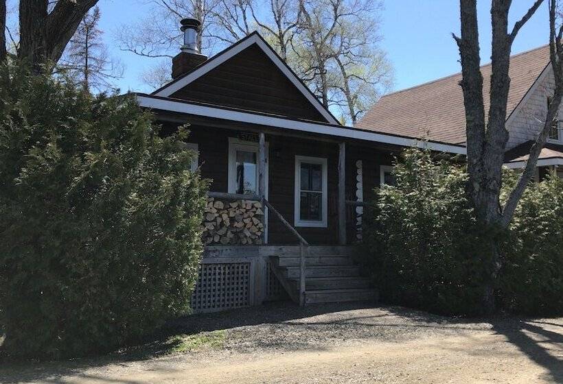 Bald Mountain Camps Resort