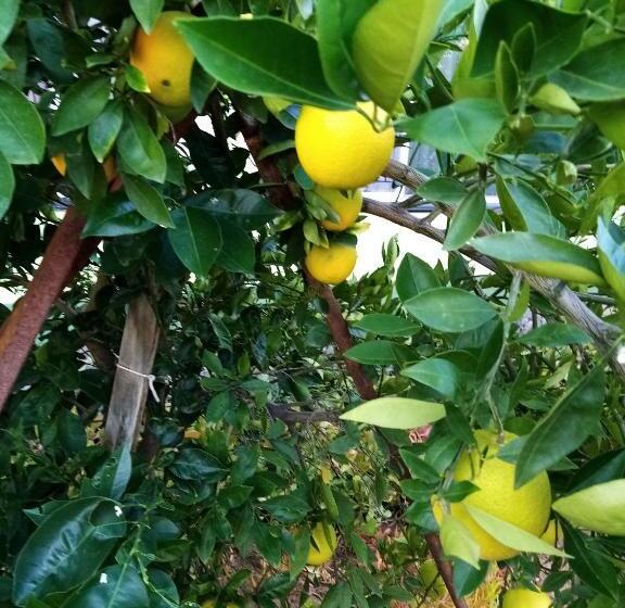 بنسيون Eve S Accommodation