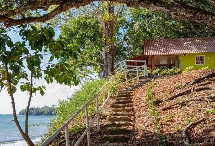 ユースホステル Hostal Familiar Rolo