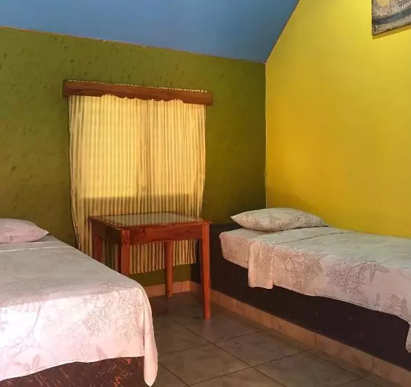 ユースホステル Hostal Familiar Rolo