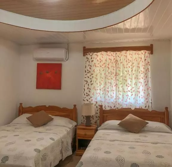 ユースホステル Hostal Familiar Rolo