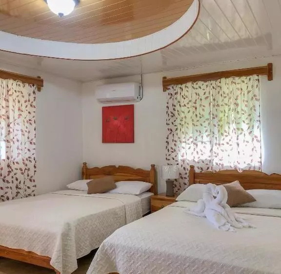 ユースホステル Hostal Familiar Rolo