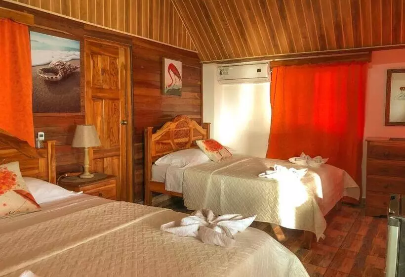 ユースホステル Hostal Familiar Rolo