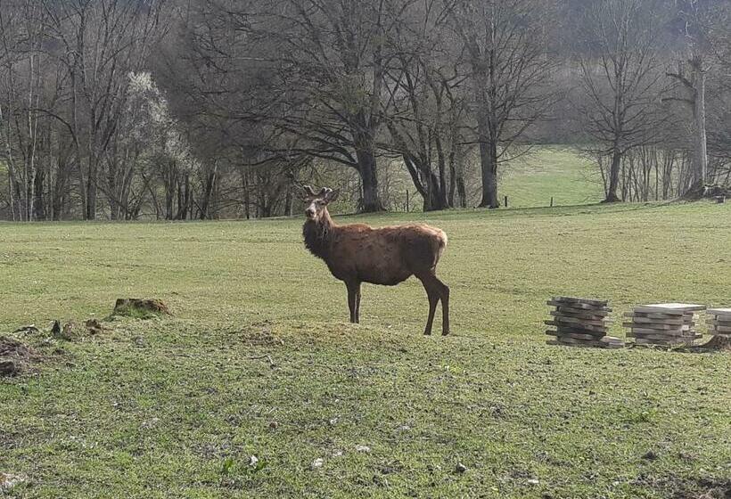 بنسيون Gîte Et Chambres D Hôtes Du Domaine Du Val Bruant