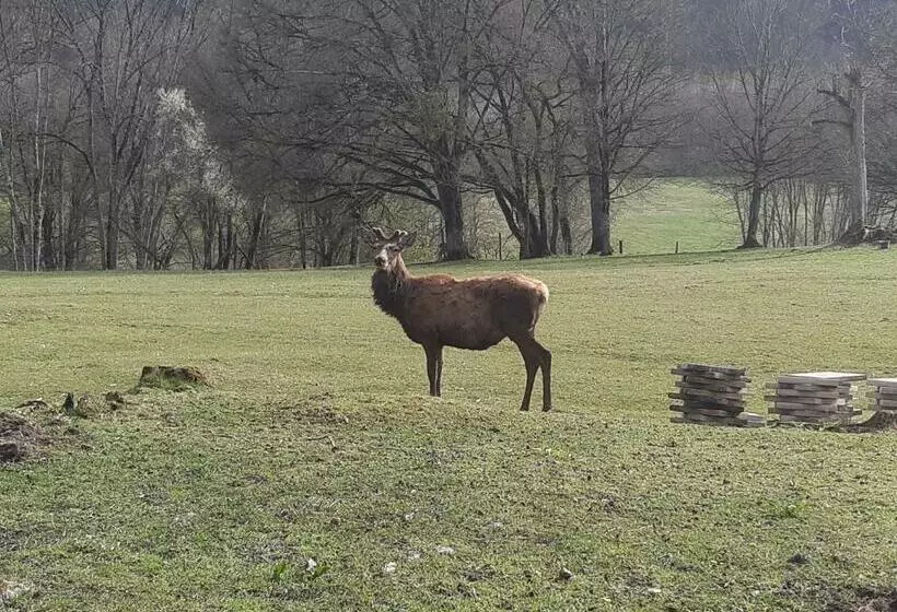 Majatalo Gîte Et Chambres D Hôtes Du Domaine Du Val Bruant