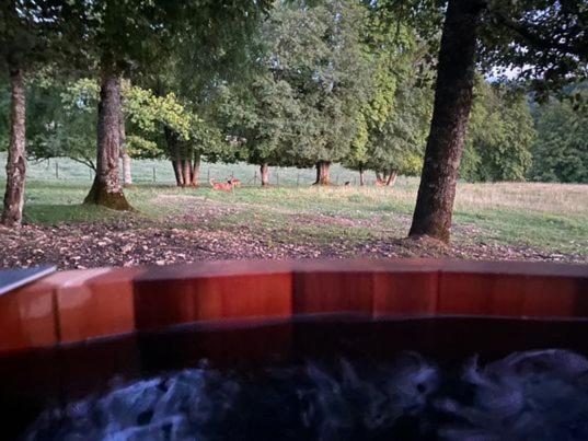 بنسيون Gîte Et Chambres D Hôtes Du Domaine Du Val Bruant