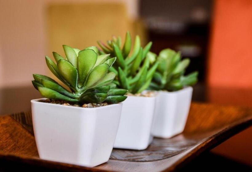 ペンション Guesthouse Serenity