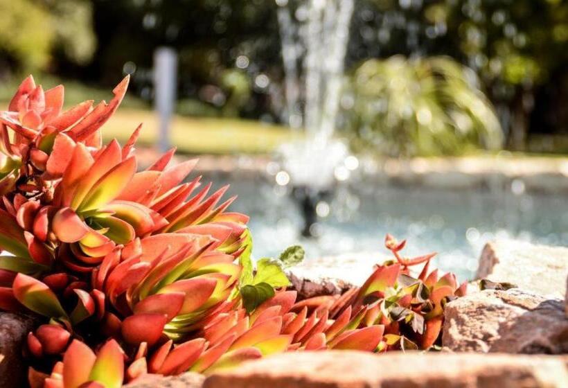 ペンション Guesthouse Serenity