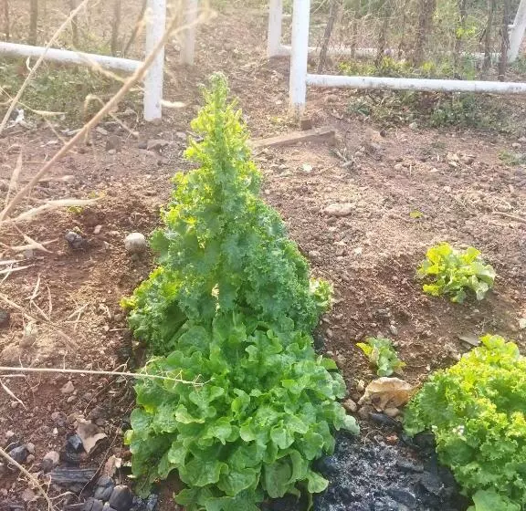 پانسیون Otentik Guesthouse