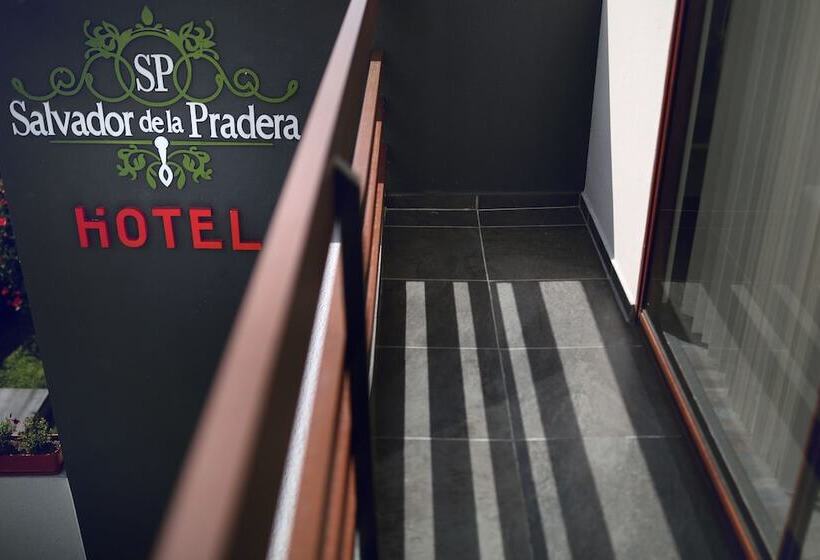 מלון כמוסות Salvador De La Pradera