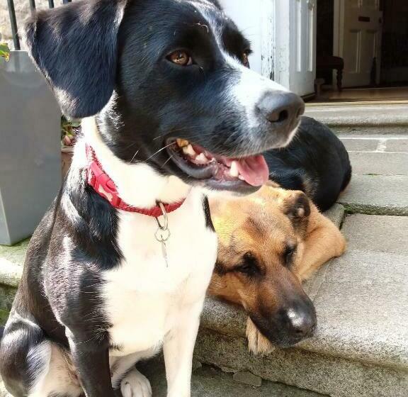 펜션 Disblair House