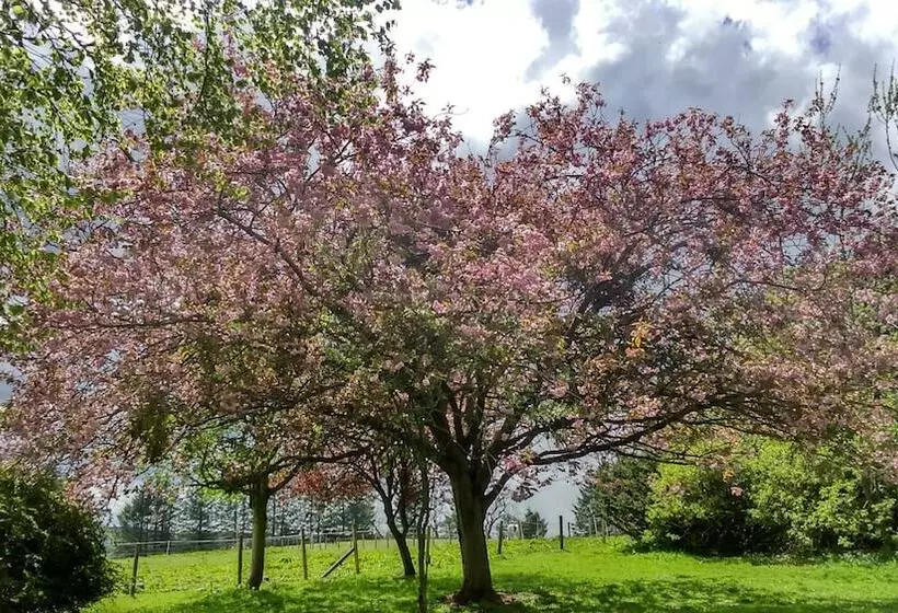 Majatalo Disblair House