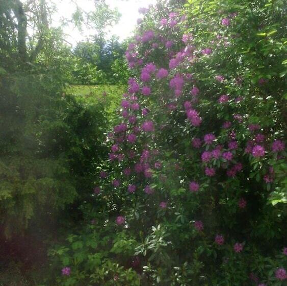 펜션 Disblair House