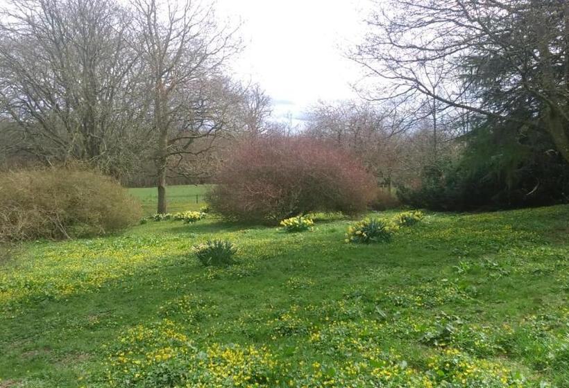 펜션 Disblair House