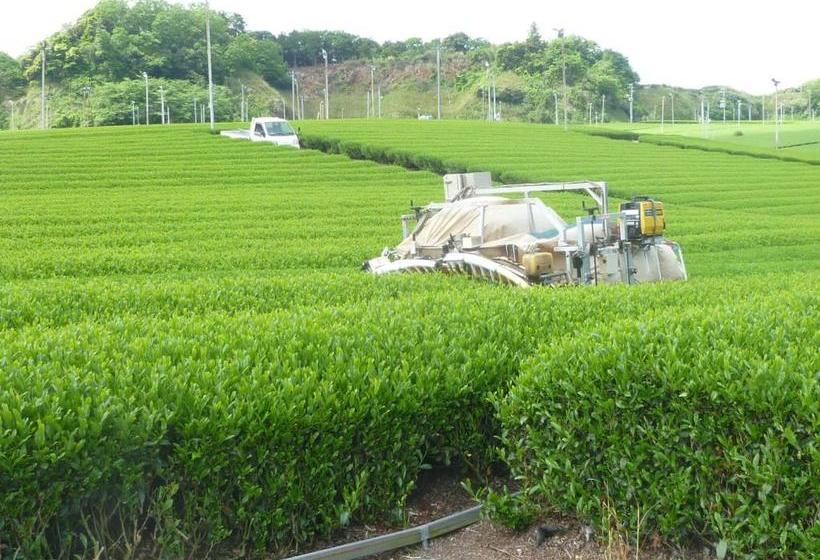 פנסיון Wakihonjin