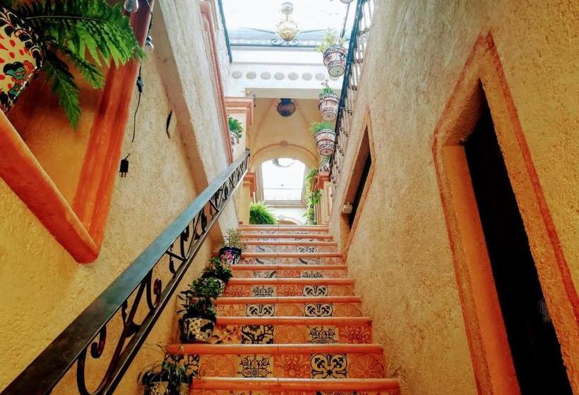 هاستل Posada Maria Bonita