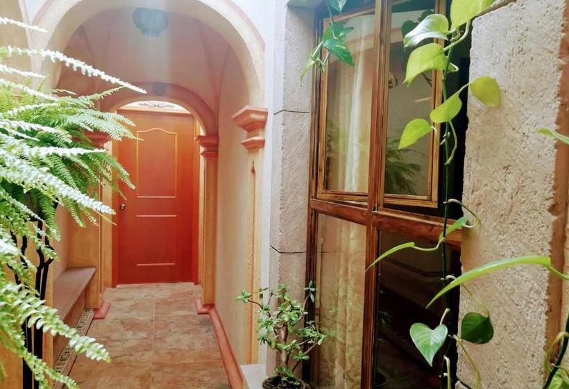 هاستل Posada Maria Bonita