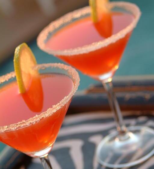 膳宿费 The Beach Villa