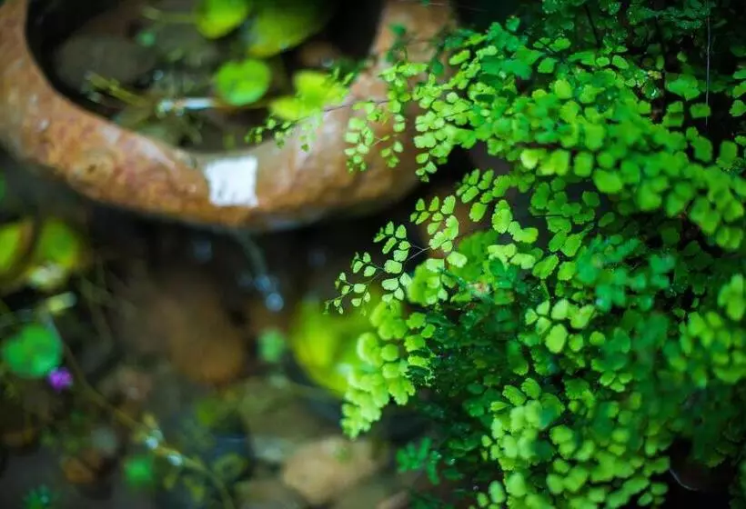 پانسیون Yunlu Lianxin Guesthouse