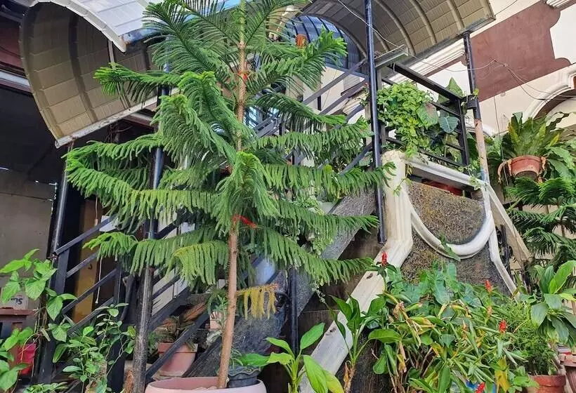 ユースホステル Casa Sarmiento Travelers Inn