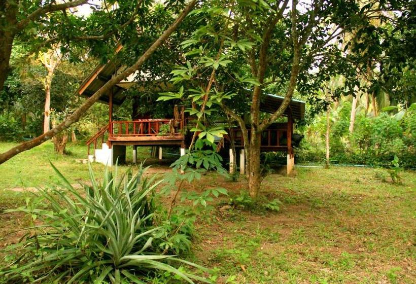 הוסטל The Wild Side