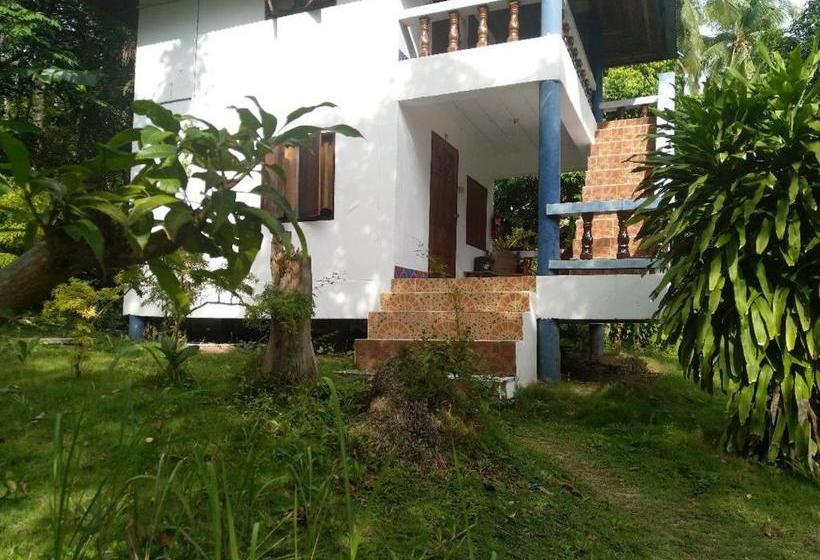 הוסטל The Wild Side