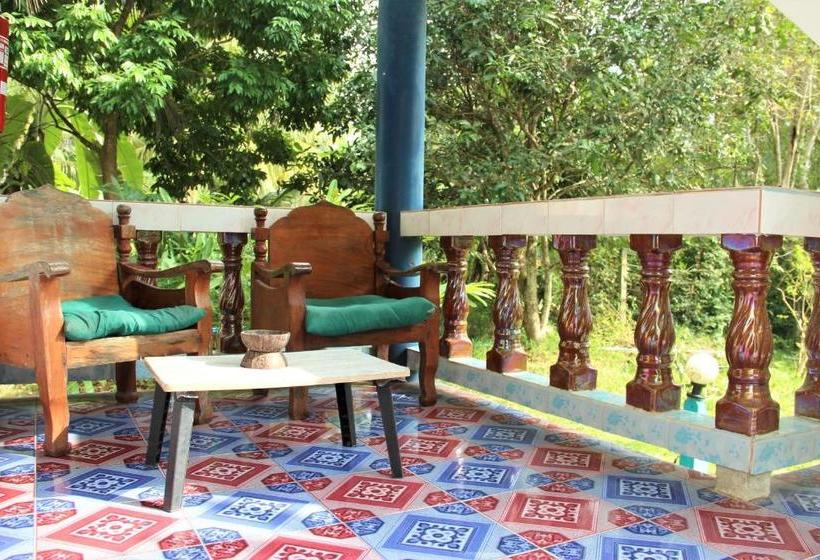 הוסטל The Wild Side