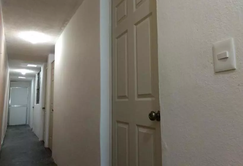 ペンション Casa Roomies