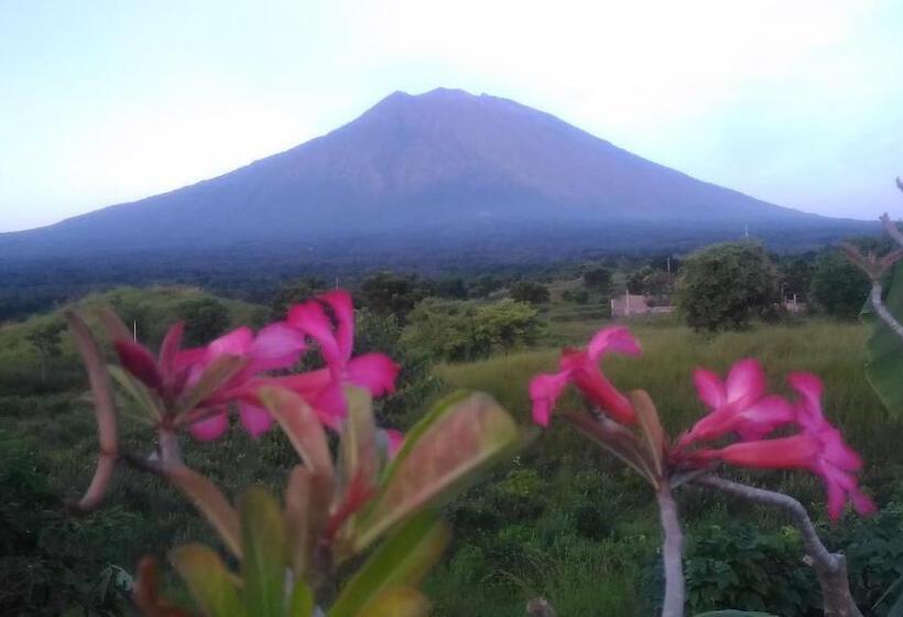 Пансион Khrisna Sunrise Homestay Tulamben