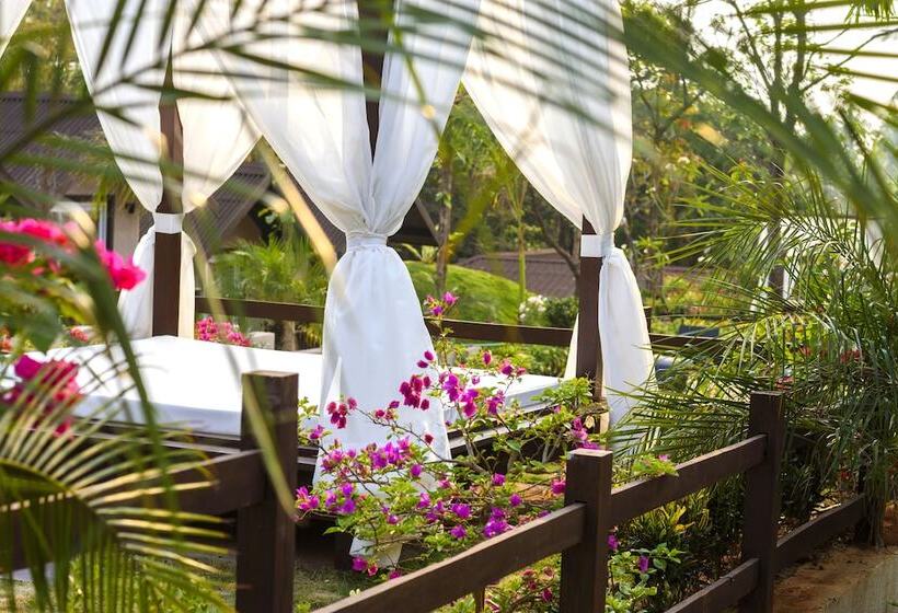 Stone Wood Resort, Mandrem