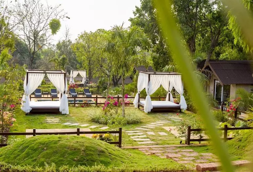 Stone Wood Resort, Mandrem