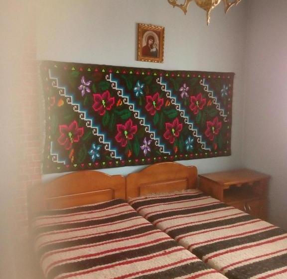 ホテル Casa Poienar