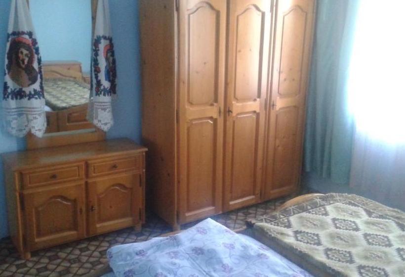 ホテル Casa Poienar