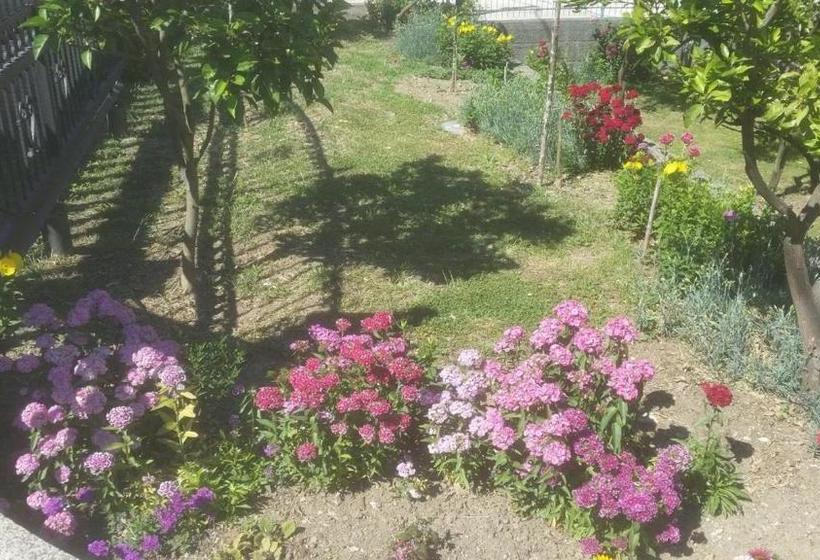 بنسيون Guesthouse Kodre