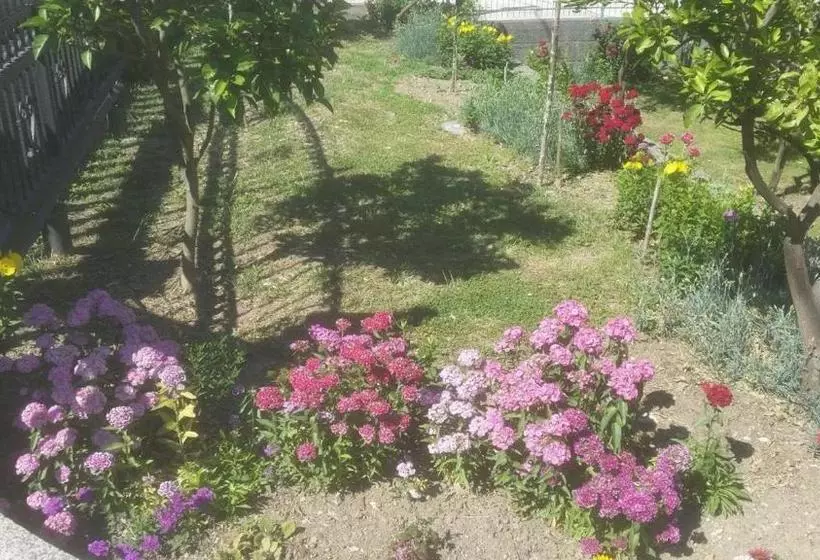 پانسیون Guesthouse Kodre